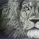 Lion graphite. Drawing, Fine Arts, Pencil Drawing, Portrait Drawing, and Realistic Drawing project by Sybel Oz - 09.12.2020