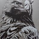 Animales en tinta. Un projet de Beaux Arts, Dessin, Dessin artistique, Dessin réaliste, Illustration traditionnelle, Illustration à l'encre , et Peinture de Ana Pagán Vicente - 12.09.2020