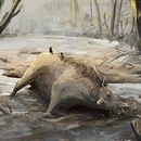 Daeodon playing in the mud. Un proyecto de Bellas Artes, Concept Art, Dibujo digital, Ilustración tradicional, Ilustración digital y Pintura digital de Miquel Camio Jiménez - 13.09.2020