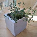 My concrete planters in cardboard molds. Un proyecto de Diseño y creación de muebles					 de dmtr_mrshn - 14.09.2020