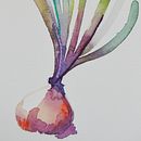 Muscari. Projekt z dziedziny  Sztuki piękne,  Haft, Trad, c, jna ilustracja, R, sunek botaniczn i Malowanie akwarelą użytkownika Natalia Conde - 10.07.2020