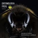 @entomologia.facil  - Meu projeto do curso: Comunicação eficiente e criativa para seus projetos . Projekt z dziedziny Instagram użytkownika Aline Unes - 16.09.2020