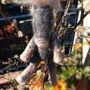 Mi Proyecto del curso Needle felting: mi No-Unicornio. Design de personagens projeto de Valeria Lagos Terrizzano - 25.11.2020