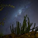 Noche en el desierto. Een project van Buitenfotografie van fernandomz1991 - 21.09.2020