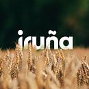 Brand Identity Concept - Iruña. Projekt z dziedziny Projektowanie logot, pów, Br, ing i ident, fikacja wizualna i Design użytkownika Carlos Braga - 23.09.2020