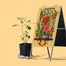 Mi Proyecto del curso: Ilustración digital con Illustrator y Photoshop. Un projet de Illustration numérique de vanesa_polet - 23.09.2020