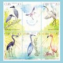 Aves en Humedales de Cuba. Sellos postales. Traditional illustration project by Roberto Roiz - 09.24.2020
