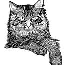 AMIGOS PELUDOS. Un projet de Dessin, Dessin de portrait , et Dessin numérique de kamila leite - 24.09.2020