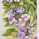 My project in Creation of Color Palettes with Watercolor course . Lukisan Cat Air proyek oleh Elaine Hill - 03.13.2021