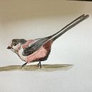 Long tailed Tit. Artistic Drawing project by Ellie Gamble - 09.27.2020