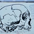 Apuntes en el MUNA. Un projet de Beaux Arts, Dessin et Illustration traditionnelle de Laura Bustos - 28.09.2020
