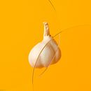 fff ground. Un proyecto de 3D, Publicidad, Diseño, Diseño 3D, Diseño editorial, Diseño gráfico, Ilustración tradicional e Instagram de Ali Sahba - 30.09.2020