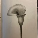 MrBenStudio JournalPages. Un progetto di Disegno a matita e Pittura ad acquerello di BENJAMIN CORRALES - 03.10.2020