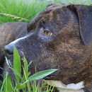 Mi Proyecto del curso: Fotografía para bancos de imágenes. Een project van Modefotografie van Yahilerin Estrella Severino - 04.10.2020