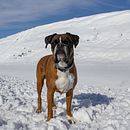Snow Ein Projekt aus dem Bereich Fotografie und Außenfotografie von Soraya Martin Saugar - 12.01.2021