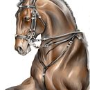 pintura digital painter 2. Un progetto di Pittura digitale di LeRho Mx - 06.10.2020