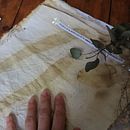 Mi Proyecto del curso: Impresión botánica en textil y papel. Un projet de St , et lisme de mariaignacia_duartemorales - 07.10.2020