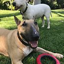 Mi Proyecto del curso: Introducción a las redes sociales para emprendedores creativos: SÍGANME EN IG Y FB . Comunicare, Fotografie de produs și Publicitate de ALEJANDRA CERVANTES - 10.07.2020