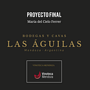 Bodegas y Cavas Las Águilas (unidad de negocio: Vinoteca Mendoza) | Introducción al community management. Projekt z dziedziny Komunikacja, Projektowanie graficzne, Marketing, Marketing treści, Marketing c, frow, Marketing na Facebooku i Marketing na Instagramie użytkownika María del Cielo Ferrer Mangoni - 11.10.2020