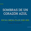 Mi Proyecto del curso: Social Media Plan para poemario . Pemasaran proyek oleh ylambertus13 - 10.21.2020