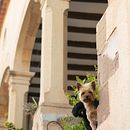 Living in the Countryside. Un proyecto de Fotografía de Lídia Expósito Escalé - 13.10.2020