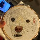 My first Pet Portrait  . Bordir proyek oleh tacha_guts - 10.13.2020