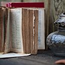 How to make a professional biography. Een project van  Reclame, Educatie y Schrijven van karlafelts3 - 13.10.2020