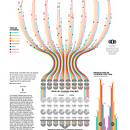 Housing beyond the pandemic. Information Design & Infographics project by Diana Estefanía Rubio - 10.19.2020