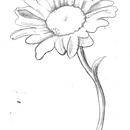 My project in Book Cover Illustration: Unraveling the Essence of a Story course Ein Projekt aus dem Bereich Traditionelle Illustration von Sarah Finke - 20.10.2020