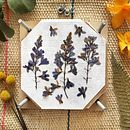 The pressed flowers lab by Happy Green Family. Un proyecto de Creatividad de Happy Green Family - 21.10.2020