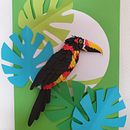 Tucan pico de navaja, El Salvador Ein Projekt aus dem Bereich Plakatdesign, Grafikdesign, Traditionelle Illustration und Kartonmodellbau von Karla Gonzalez - 21.10.2020