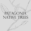 PATAGONIA — NATIVE TREES. Editorial Design, Graphic Design, and Traditional illustration project by David Szadorski - 10.18.2020