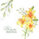 Mi Proyecto del curso: Técnicas aplicadas de ilustración en acuarela. Projekt z dziedziny Br, ing i ident, fikacja wizualna, R, sunek botaniczn, Pattern design i Malowanie akwarelą użytkownika Mariana Rodríguez - 25.10.2020