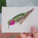 Aquarela. Projekt z dziedziny Malowanie akwarelą użytkownika Liara De Azevedo - 26.10.2020
