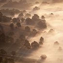 Landscape. Un proyecto de Fotografía artística y Fotografía de Yaopey Yong - 08.04.2021