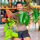 Plantas na água? Como?. Un proyecto de Arquitectura interior de Daniel Virgnio - 28.10.2020