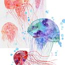 Crazy for Jellies. Un projet de Aquarelle de Kai Grafia - 30.10.2020