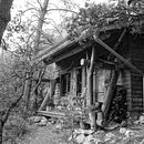 Lets create better ways of living . % Sinead tarafından hazırlanan Yaratıcılık, Eğitim, Tablo, Sulubo, Ve a Resim projesi - 08.30.2018