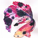 Mi Proyecto del curso: Técnicas experimentales de acuarela para principiantes . Un progetto di Pittura ad acquerello di Saioa Vicente Castaño - 01.11.2020