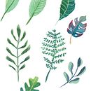 feuilles aquarelle exercice . % Charlott' Escudero tarafından hazırlanan Çizim projesi - 11.02.2020