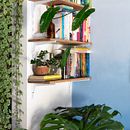 Tudo que você precisa saber sobre as melhores plantas para sua casa!. Un proyecto de Arquitectura, Decoración de interiores, Diseño interactivo y Paisajismo de Daniel Virgnio - 04.11.2020