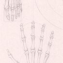 Tablero de estudio de proporciones humanas. Drawing, Pencil Drawing, and Figure Drawing project by Marcelo Perez Izco - 12.03.2020