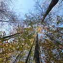 Mi Proyecto del curso: Guía práctica para aprender a manejar tu cámara digital desde cero. Een project van Fotografie y Fotografie voor Instagram van Maria Atxa - 07.11.2020