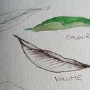 My sketchbook . Watercolor Painting project by Anna Gueorguieva - 11.09.2020