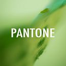 PANTONE Ein Projekt aus dem Bereich Studiofotografie und Porträtfotografie von rclopez - 16.11.2020