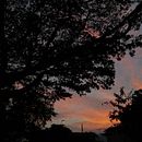 Mi Proyecto del curso: Fotografía y composición para Instagram. Projekt z dziedziny  Kompoz, cja w fotografii, Fotografowanie smartfonem i Fotografia na Instagram użytkownika Stefany Gonzalez - 27.11.2020