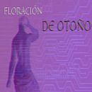 Floración de otoño. Narrative project by Karla Hernandez Jimenez - 11.17.2020