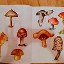 Mi Proyecto del curso: Técnicas de ilustración para desbloquear tu creatividad Ein Projekt aus dem Bereich Kreativität von veriana - 18.11.2020