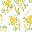 Pattern Mimosas . Traditional illustration, Botanical Illustration, Pattern Design, Watercolor Painting, and Fiber Arts project by Lorena Morales Alcaide - 11.20.2020