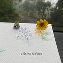 Flowery meadows . Een project van Aquarelschilderen,  Botanische illustratie,  Creativiteit,  Interieurdecoratie,  Tekening, Traditionele illustratie, Verhaallijn, Stor y telling van piyapa - 20.11.2020
